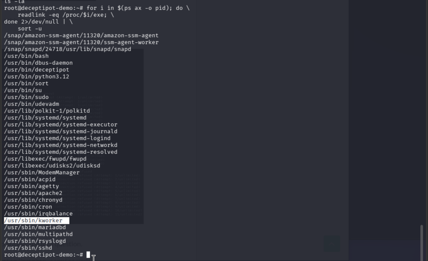 process list with /usr/sbin/kworker visible